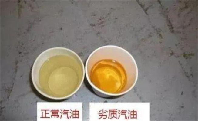 1772500565907814.jpg 360截圖20260303084757536.jpg